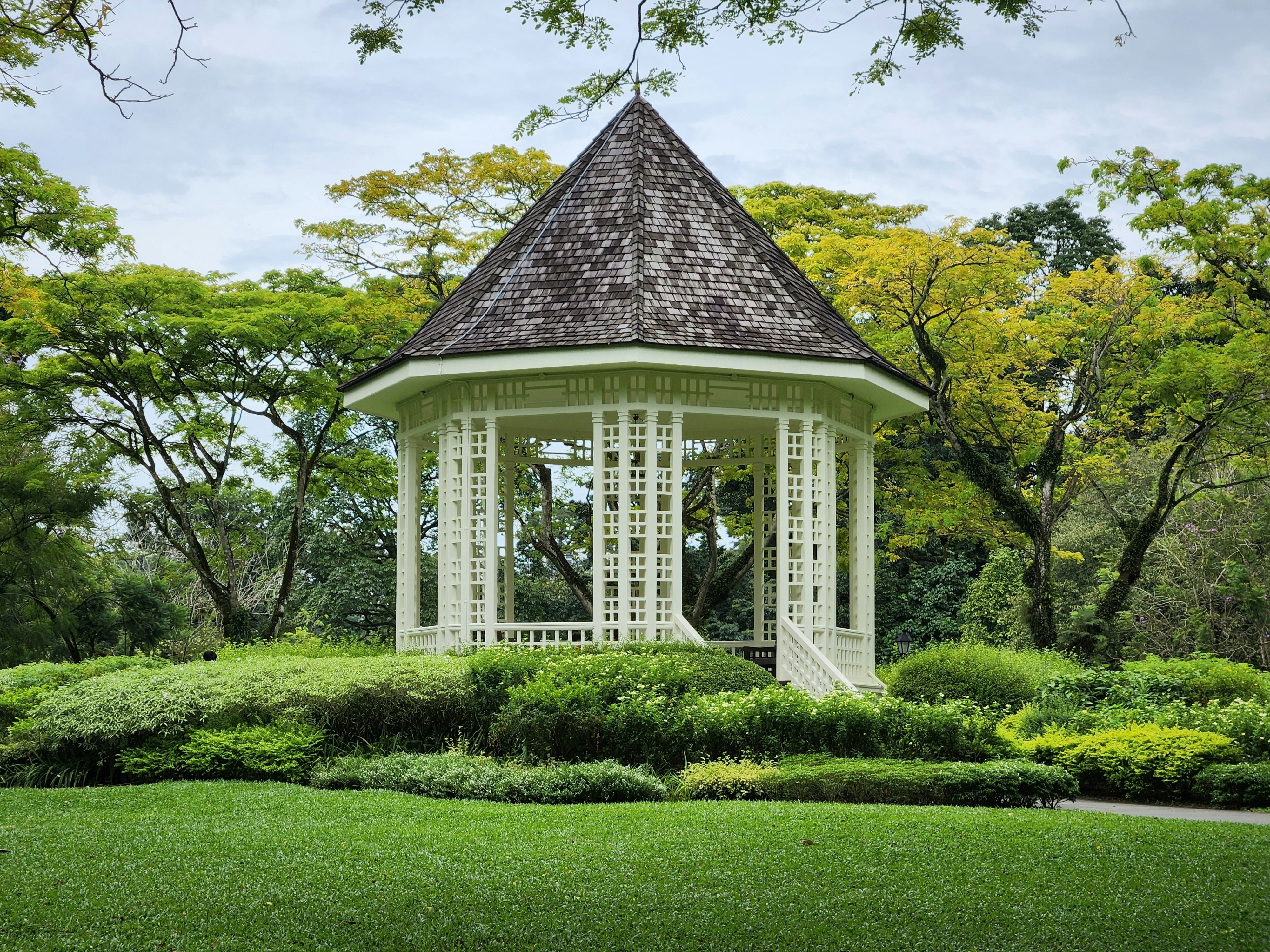 PETAL SCAN Project Preview